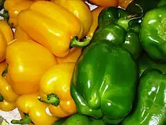 Paprika